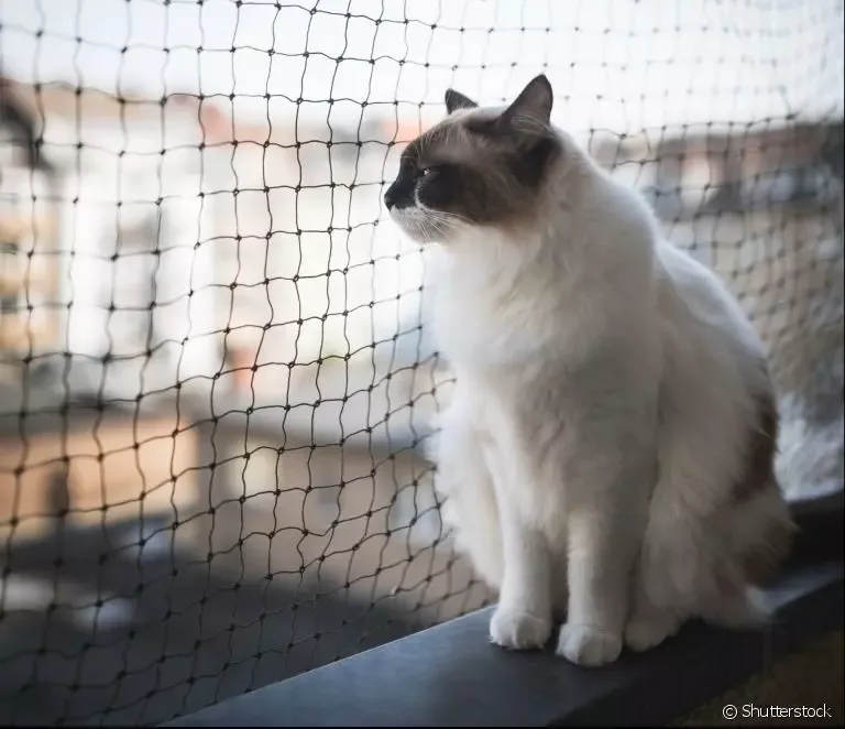 Redes de Proteção para Gatos